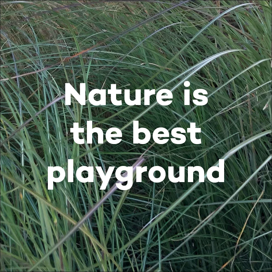 Activism Landing Page - Card link sections - Nature is the best playground