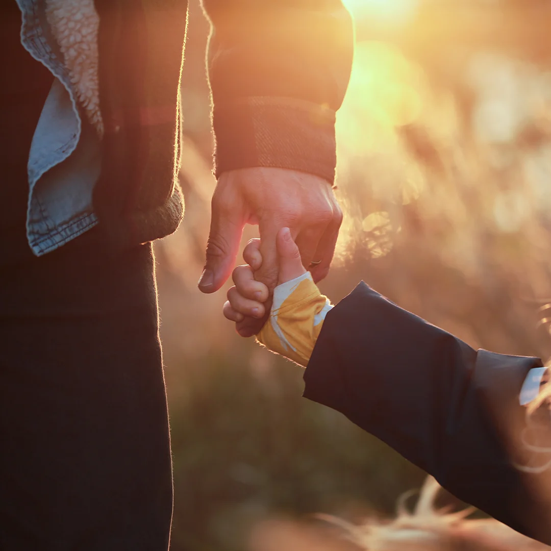 Sustainability - Ensuring respect for human rights