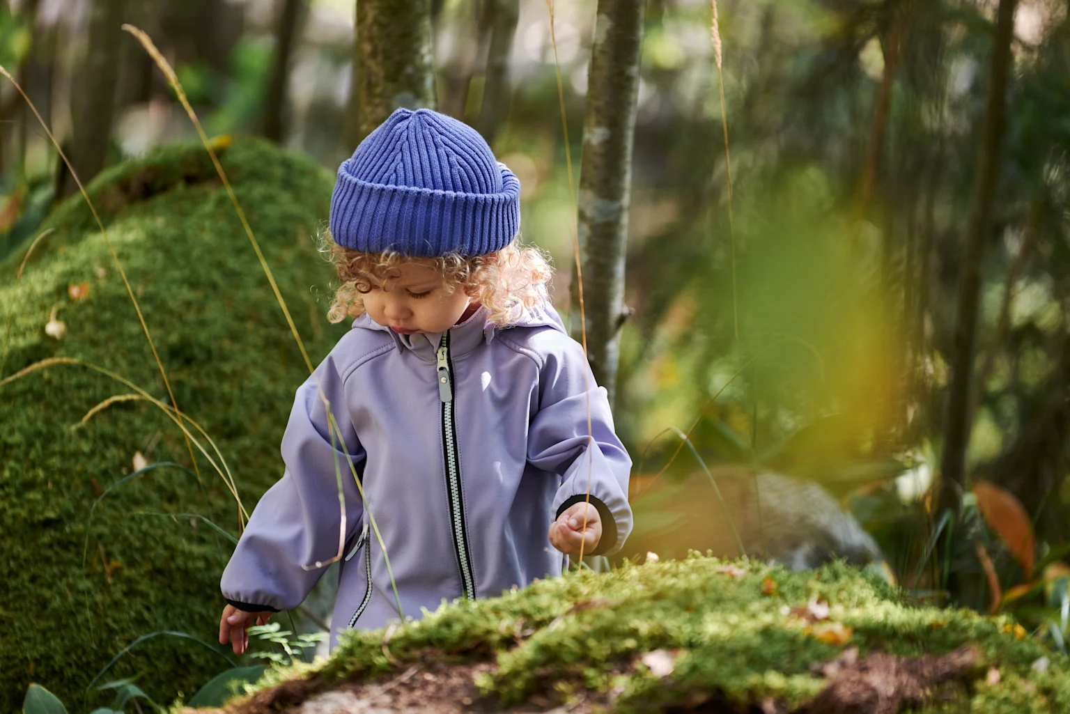 Home - Sustainability